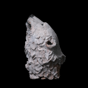 ホッキョクグマ（HEAD）
